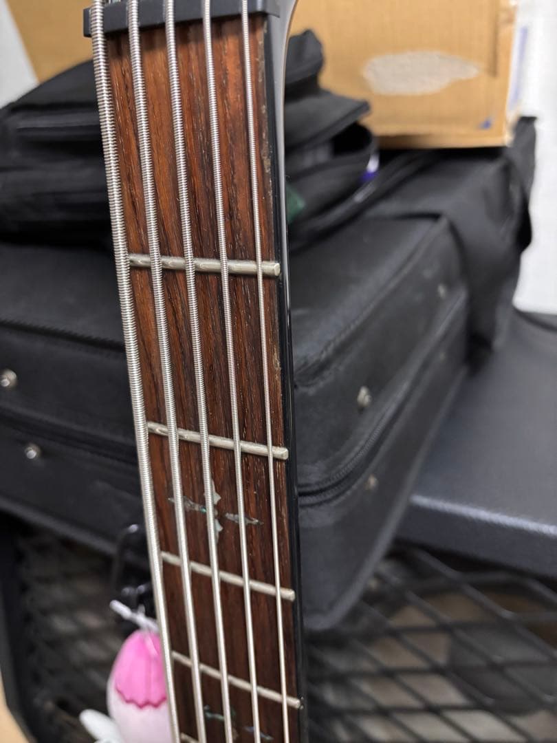 SCHECTER HELLRAISER-5 5弦ベース