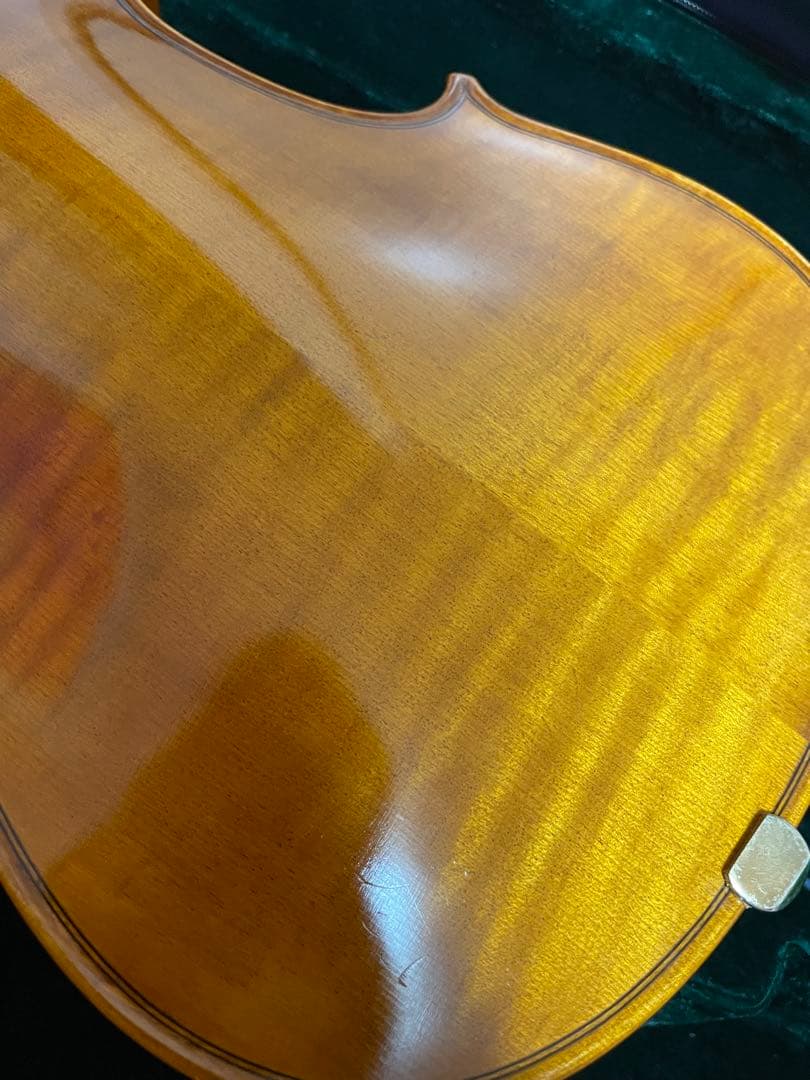 弦楽器 CARLO GIORDANO VS-2 4/4