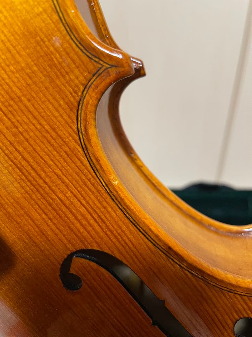 弦楽器 CARLO GIORDANO VS-2 4/4