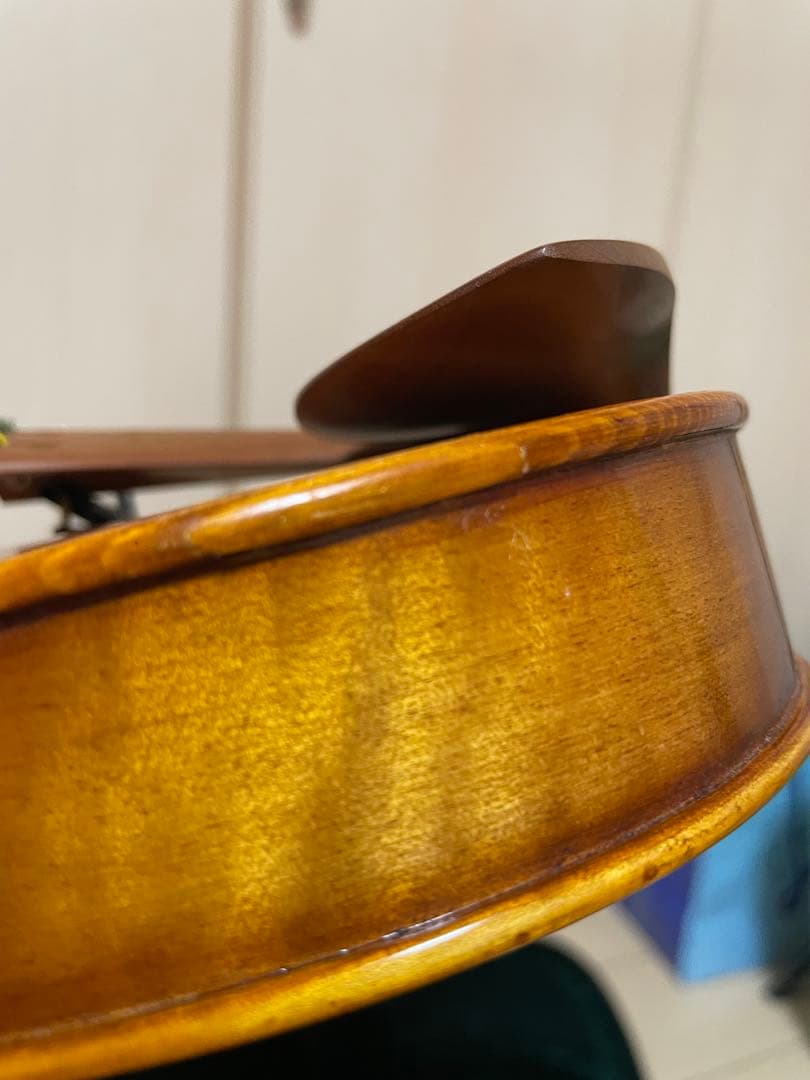 弦楽器 CARLO GIORDANO VS-2 4/4