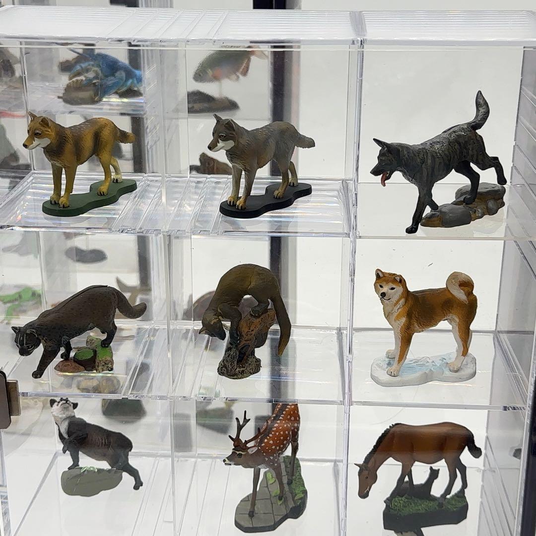 希少品 小学館 週刊 日本の天然記念物 52体セット まとめ売り