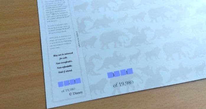 1998年レアグッズ!! 海外ディズニー WDW アニマルキングダム開業記念