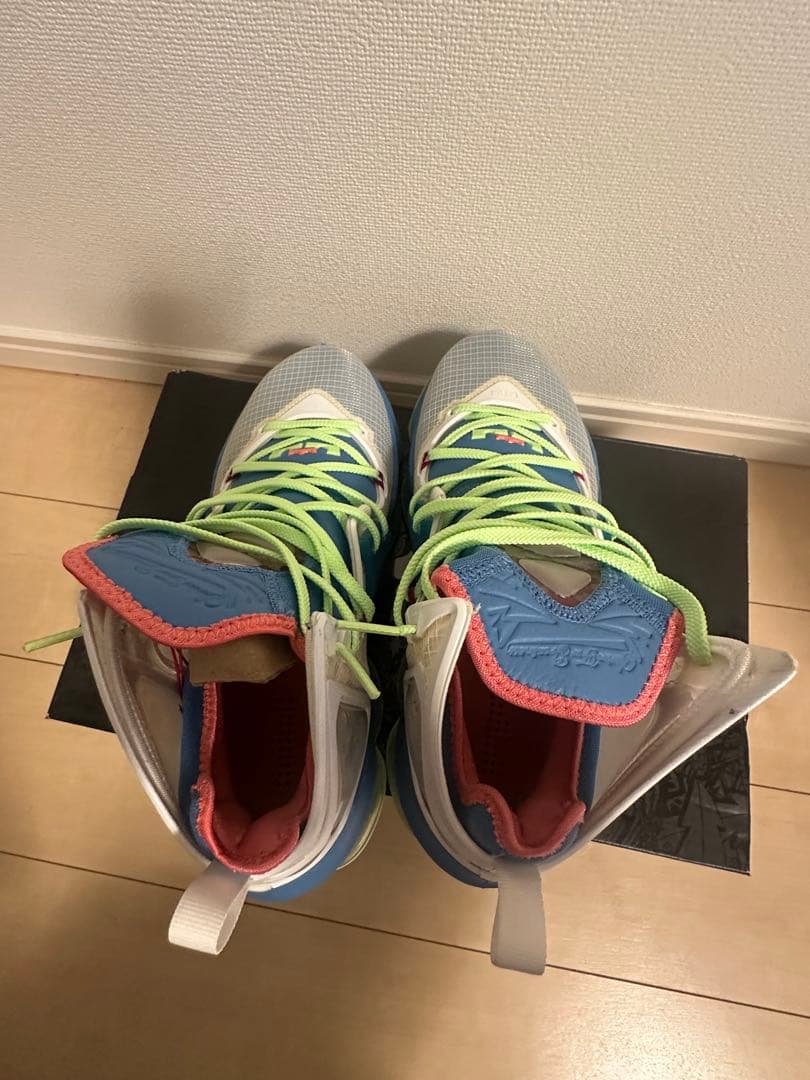 LEBRON XIX レブロン19　バッシュ NIKE