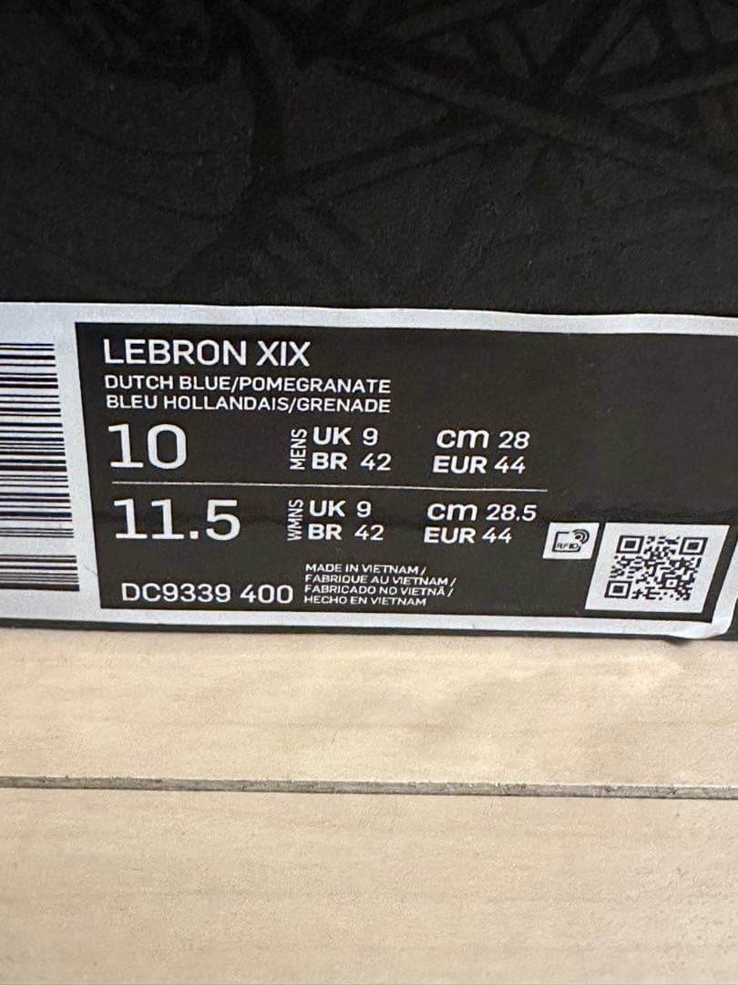 LEBRON XIX レブロン19　バッシュ NIKE