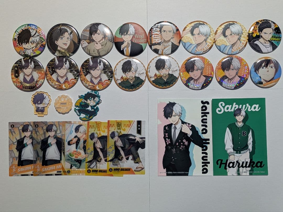 ウィンドブレーカー 桜遥 セット売り