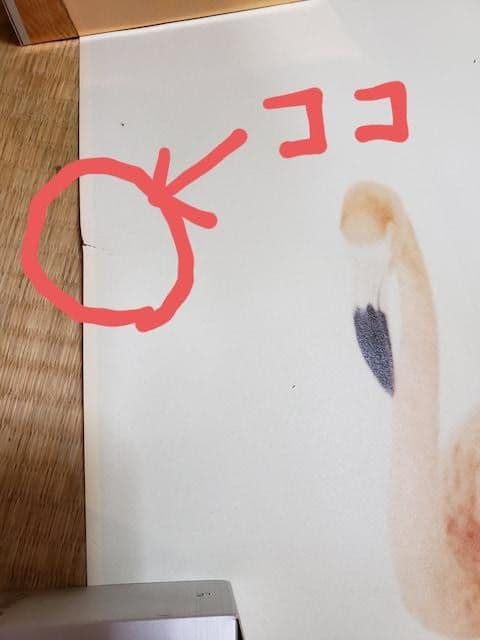 hitomi　超特大 ポスター　ベストアルバム「h」フラミンゴ