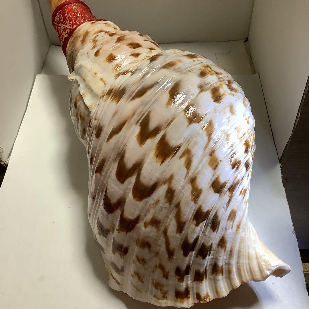 ヤフメリ31・法螺貝・山伏・修験者・金峯山・羽黒山・戦国武将・縁起物・安全登山