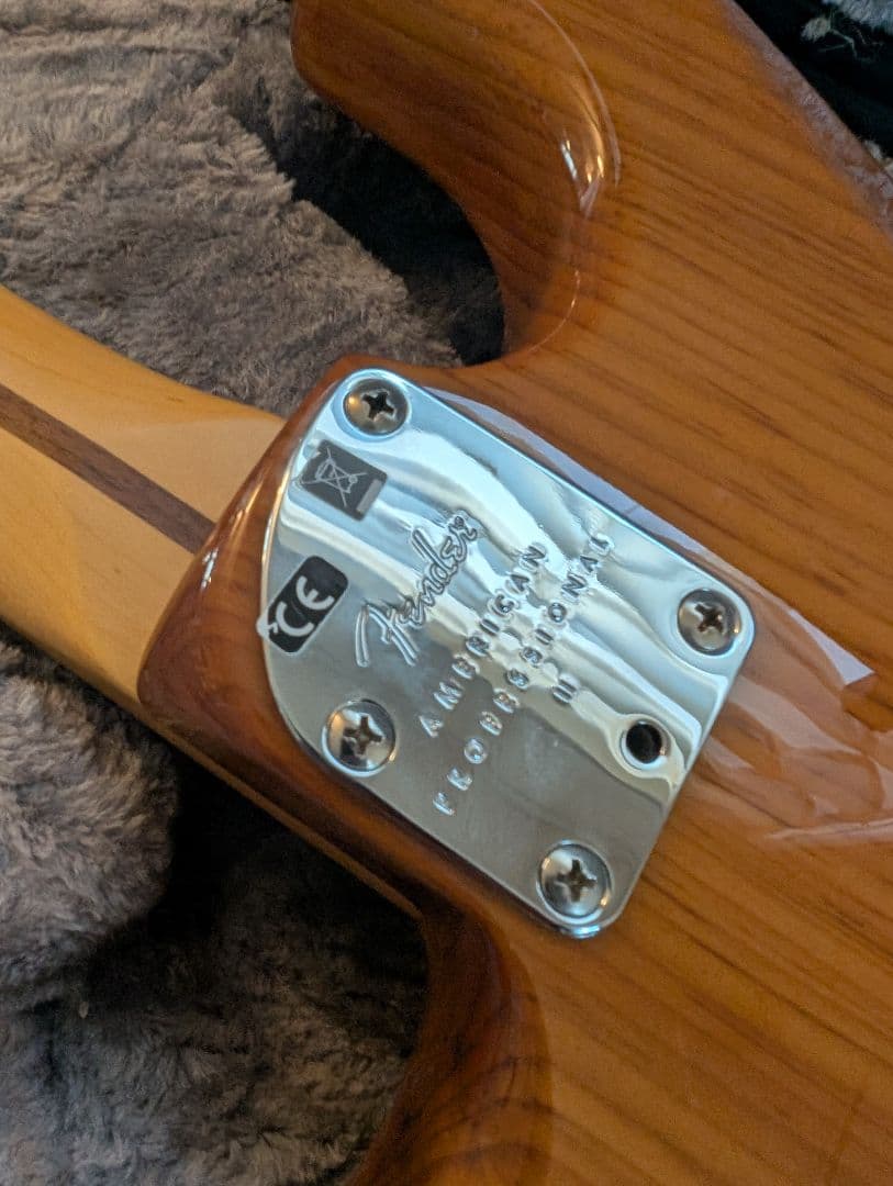 ギター American Professional2 Stratocaster