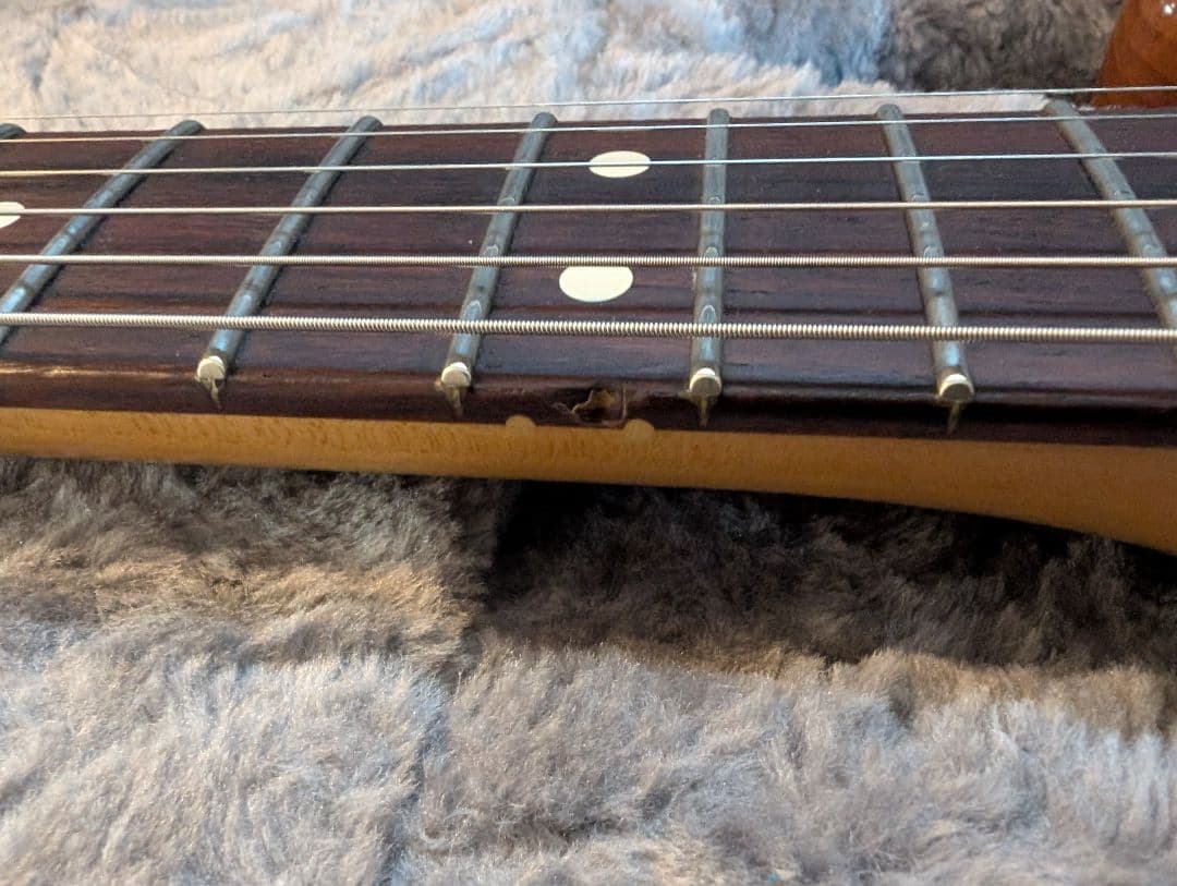 ギター American Professional2 Stratocaster