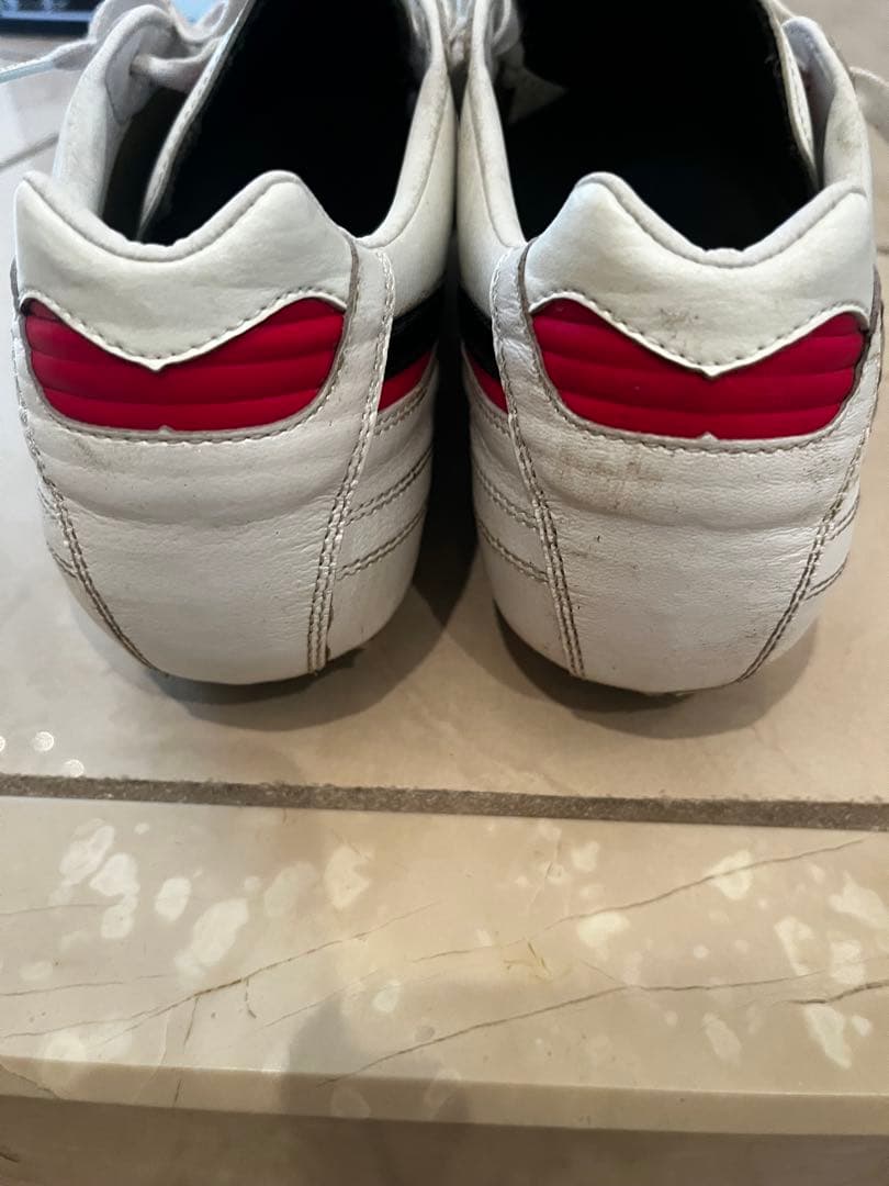 Mizuno Morelia2Japan クロスステッチ　　　25.5