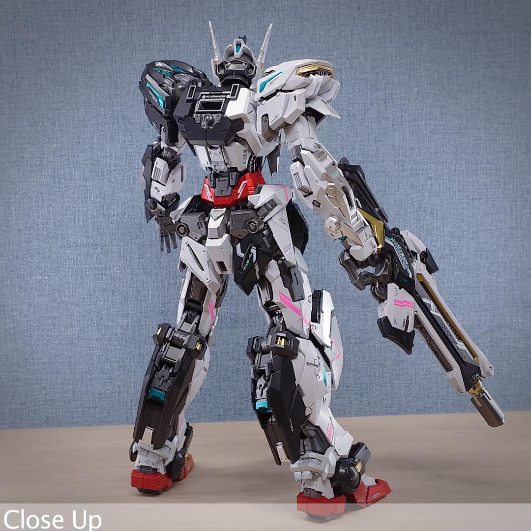 THUNDERBOLT DEVILFISH 1/100 IN ERA+ 完成品