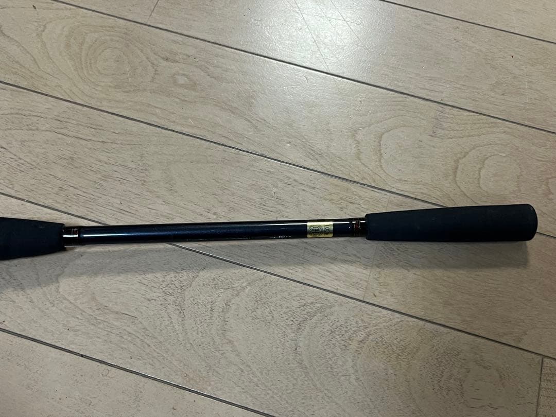 ダイワDAIWAライトヒラメX LIGHT HIRAME X M240