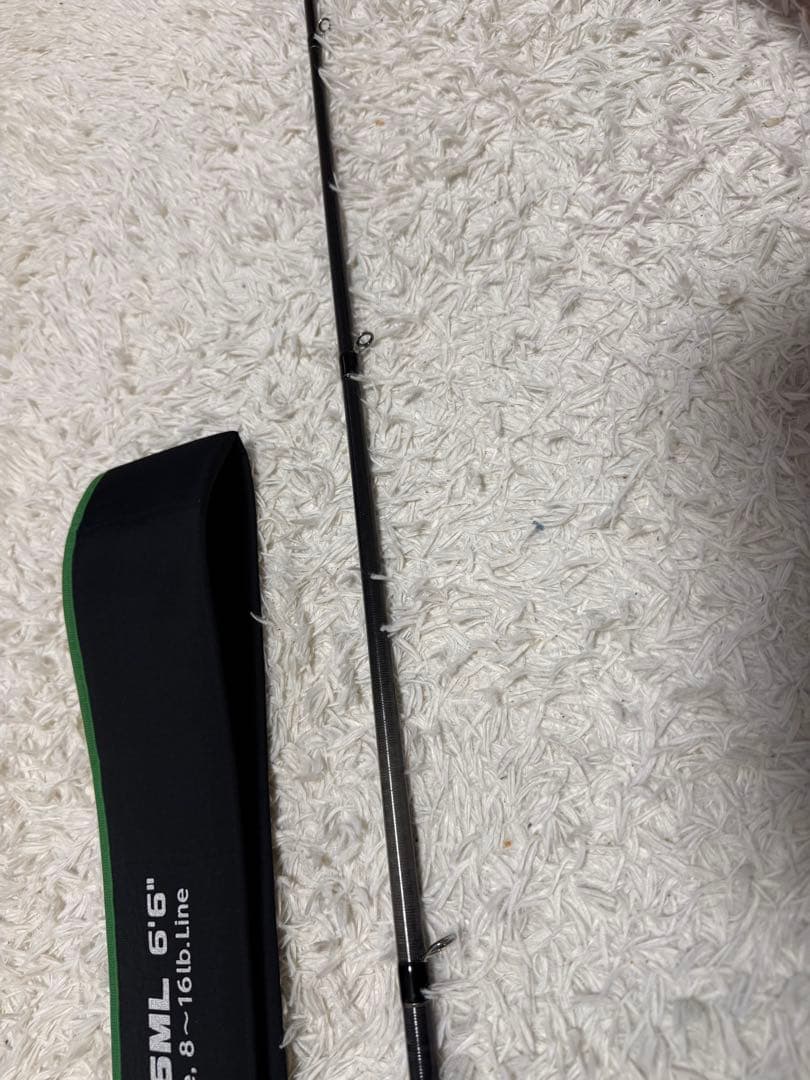 エバーグリーン ファクト FACT 66ML