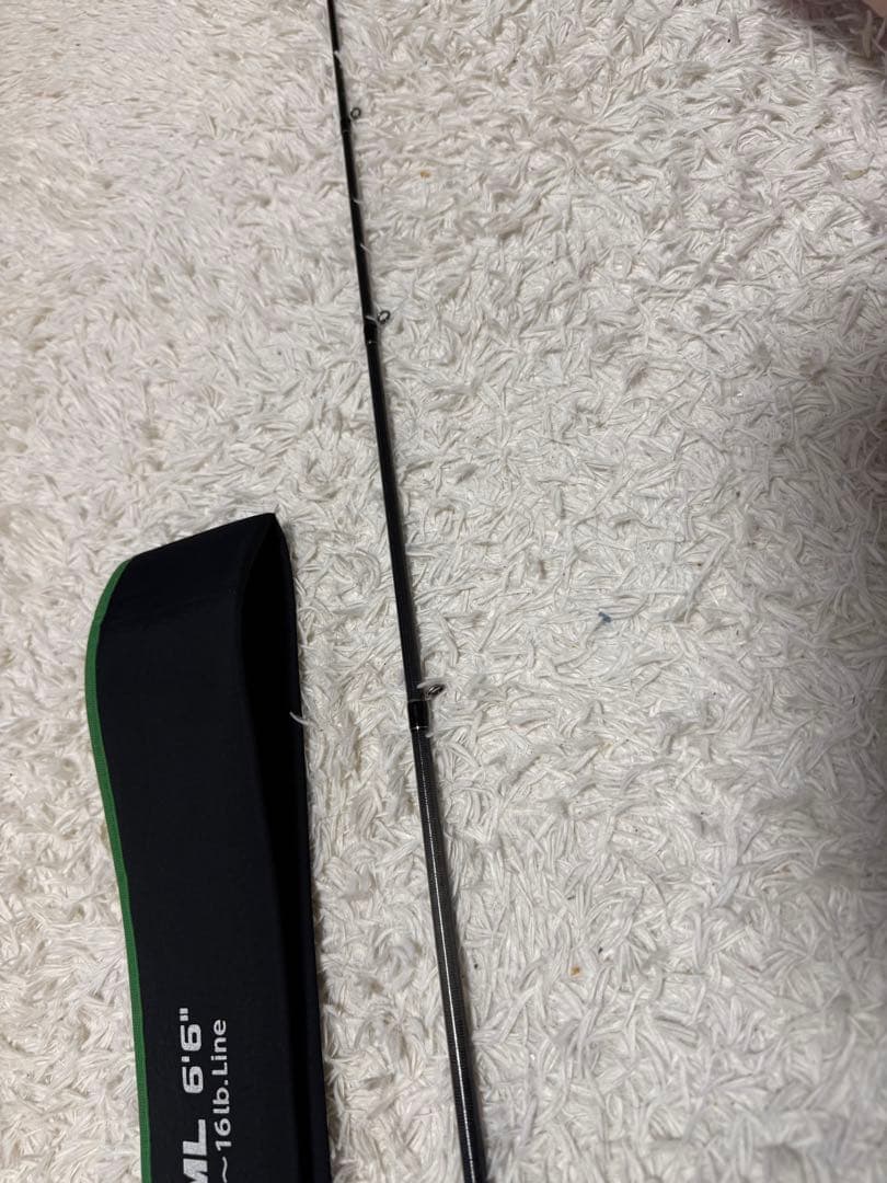 エバーグリーン ファクト FACT 66ML