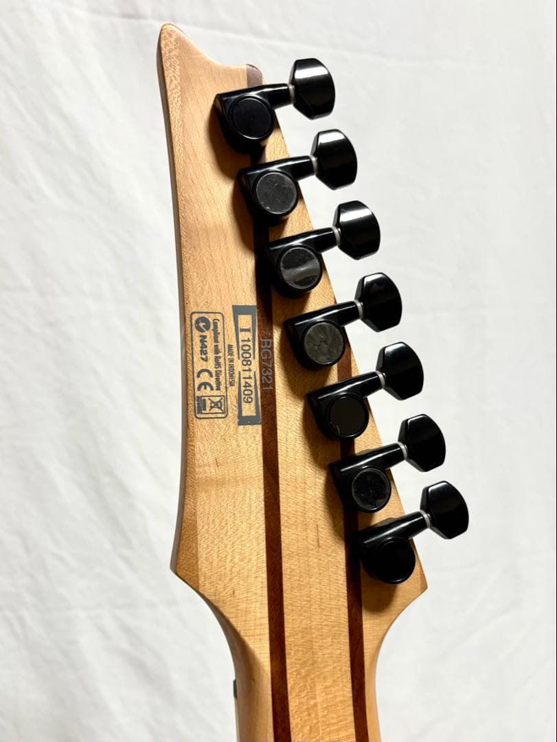 【新品弦張替済】Ibanez 7弦ギター RG7321 ディマジオPU