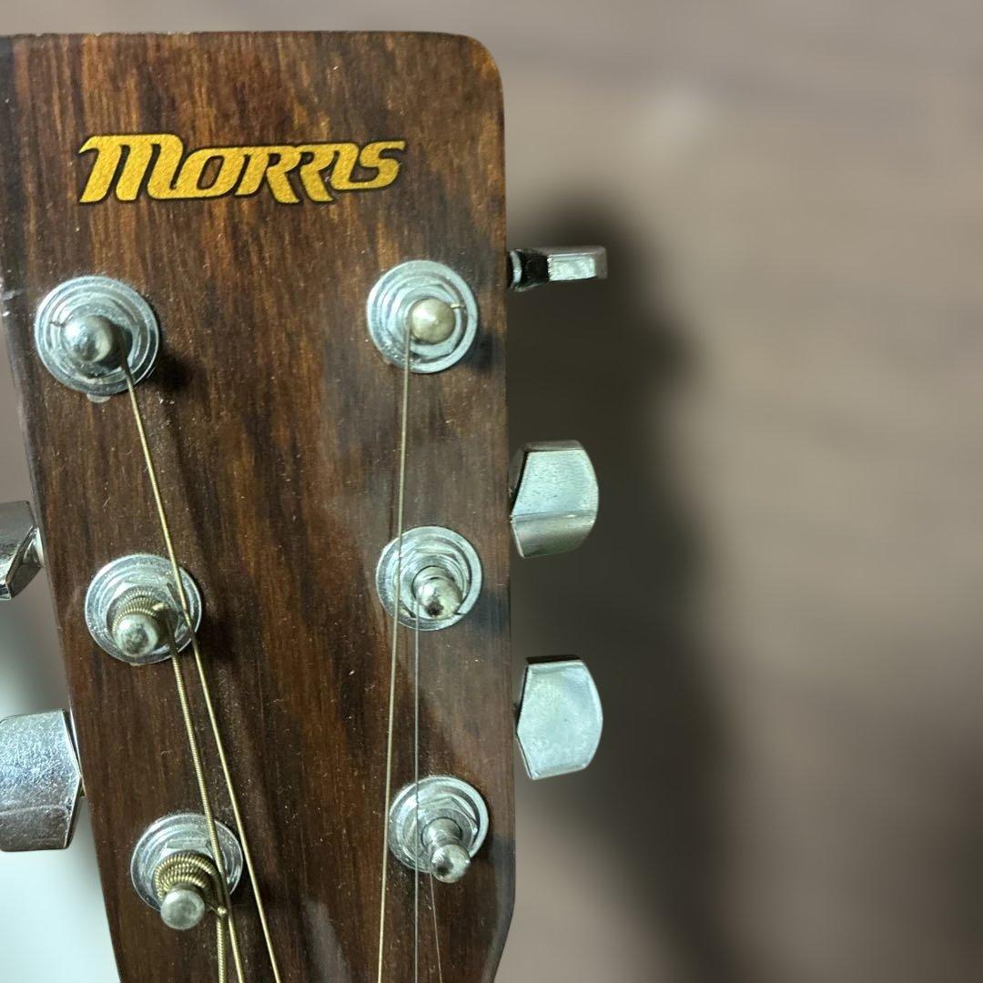 【美品】Morris MD-251N アコースティックギター
