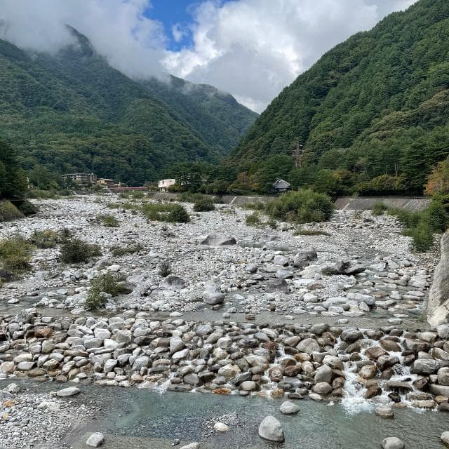 （購入後、精米して発送）令和7年産 コシヒカリ 10㎏ 南信州産