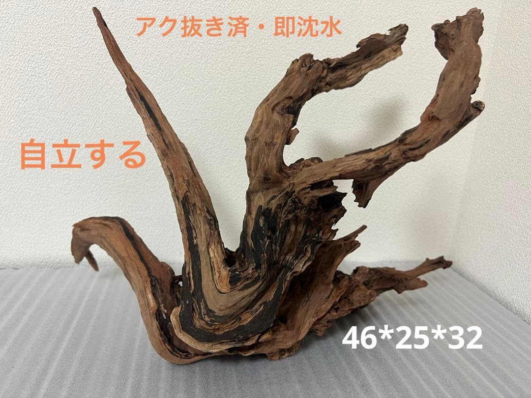 HX-079 流木　ホーンウッド　マシンガンウッド　アクアリウム　ブランチウッド