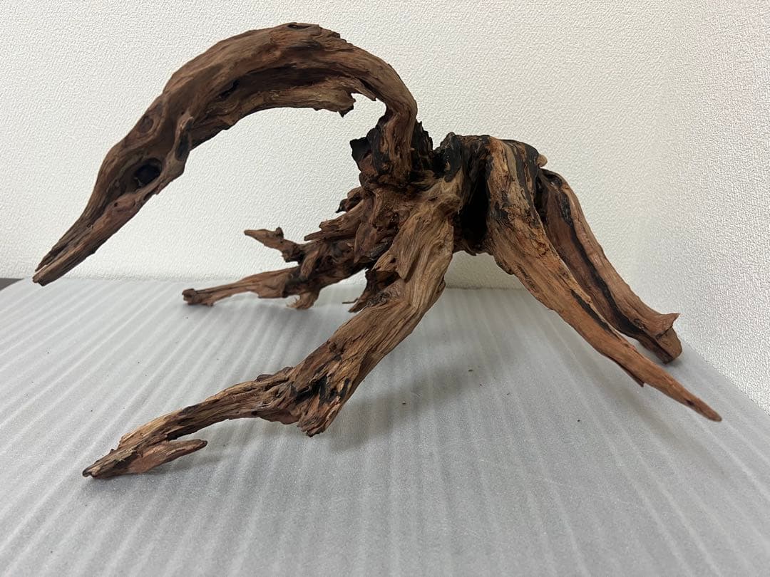 HX-079 流木　ホーンウッド　マシンガンウッド　アクアリウム　ブランチウッド