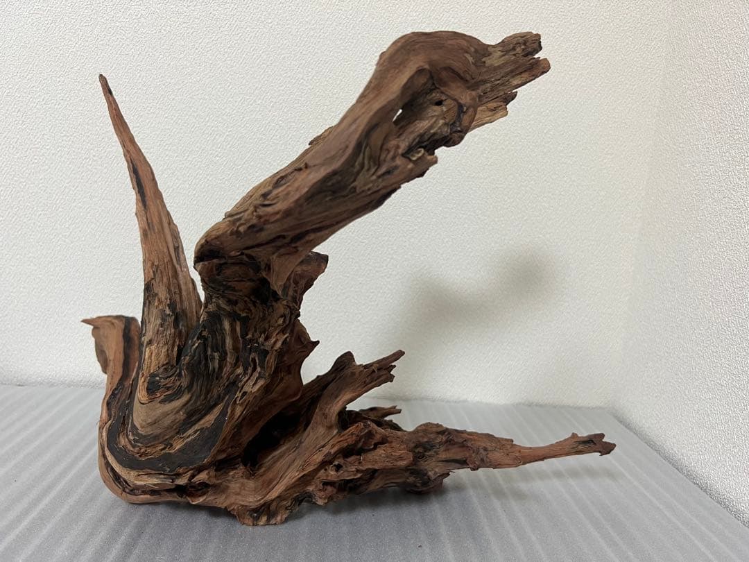 HX-079 流木　ホーンウッド　マシンガンウッド　アクアリウム　ブランチウッド