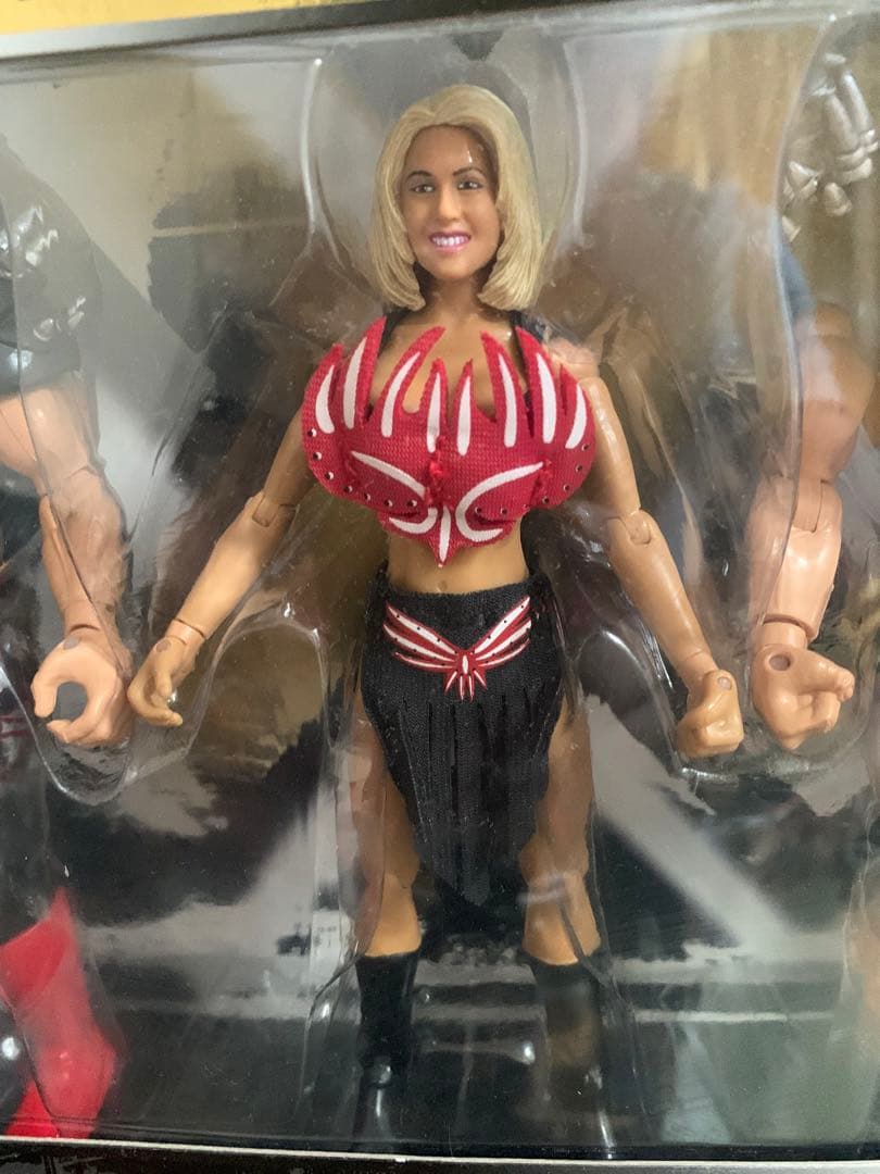 リングサイド LEGION OF DOOM  ザ・ロード オブ  ウォリアーズ