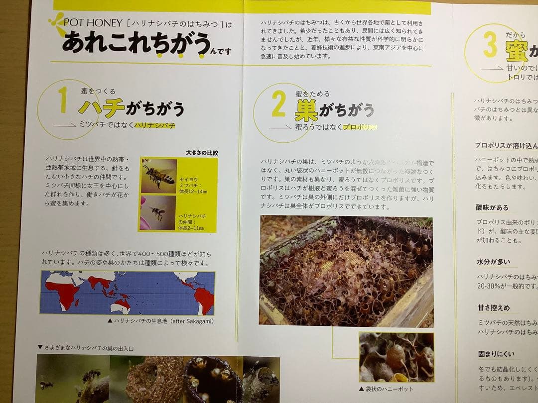 蜜林堂 高級はちみつ「Pot Honey」5本✖130g