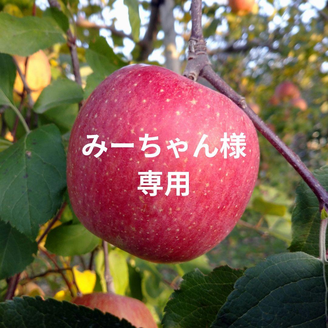 みーちゃん 長野県産 サンふじ 家庭用 約１１kg&５袋