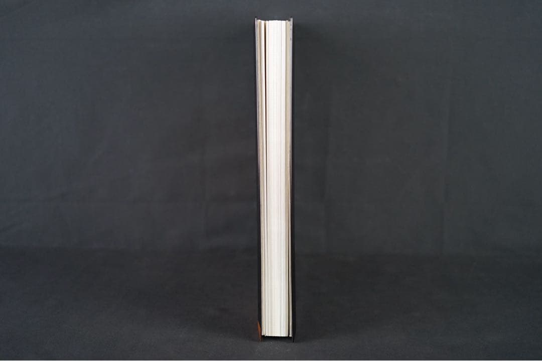 能登輪島塗 新屋謹製 大見謝 恒雄 作 土佐絵風描画 蒔絵写真帳 共箱 木製漆器