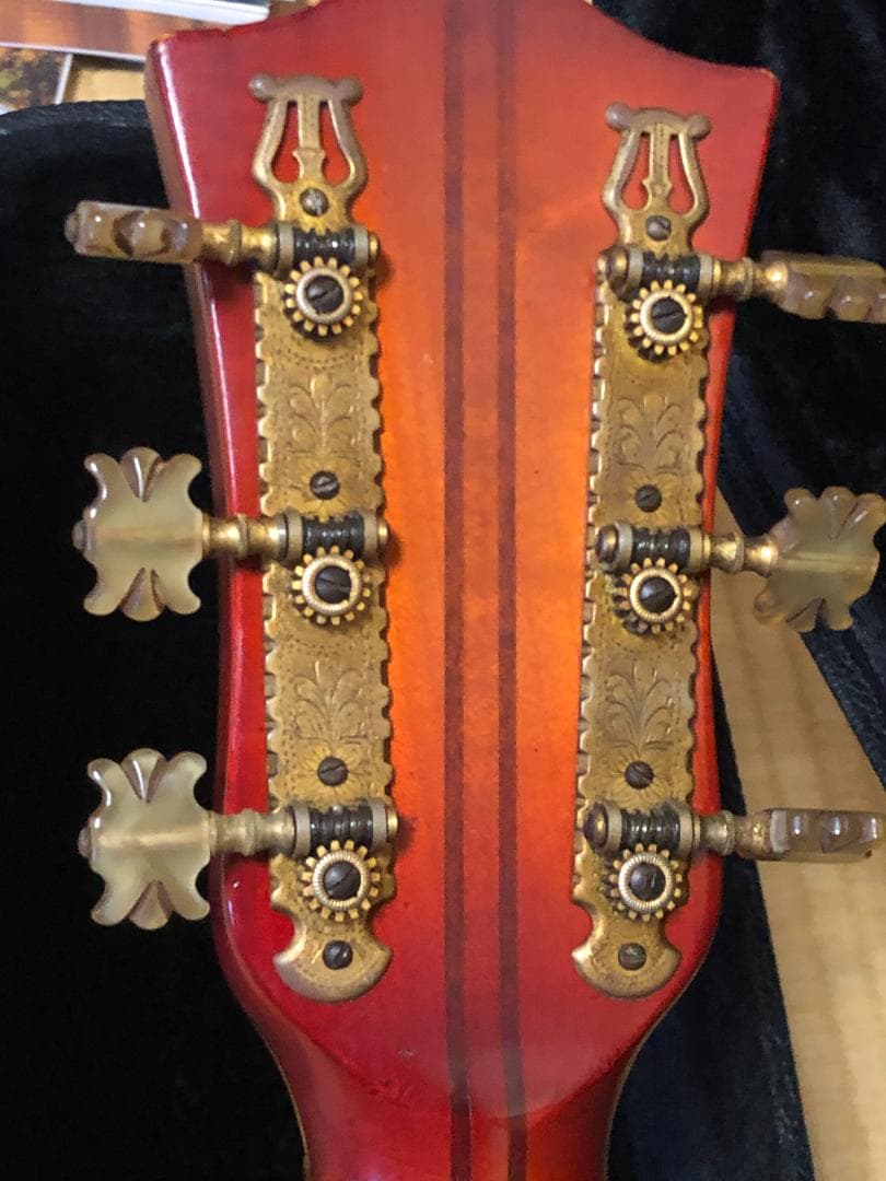 激レア 希少 カールヘフナー　496　アコギ ヴィンテージ