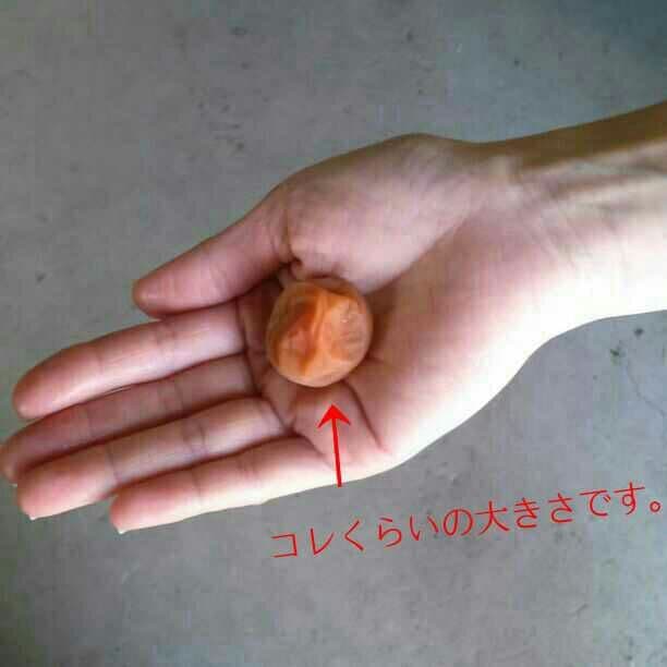 ましゅ めるの10kg 無添加 自家製 梅干し 紀州みなべの南高梅