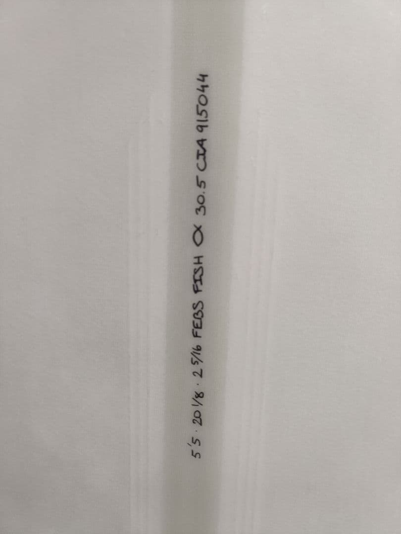 FEBS FISH フェブズフィッシュ SPINETEK 　アルメリック　5.5