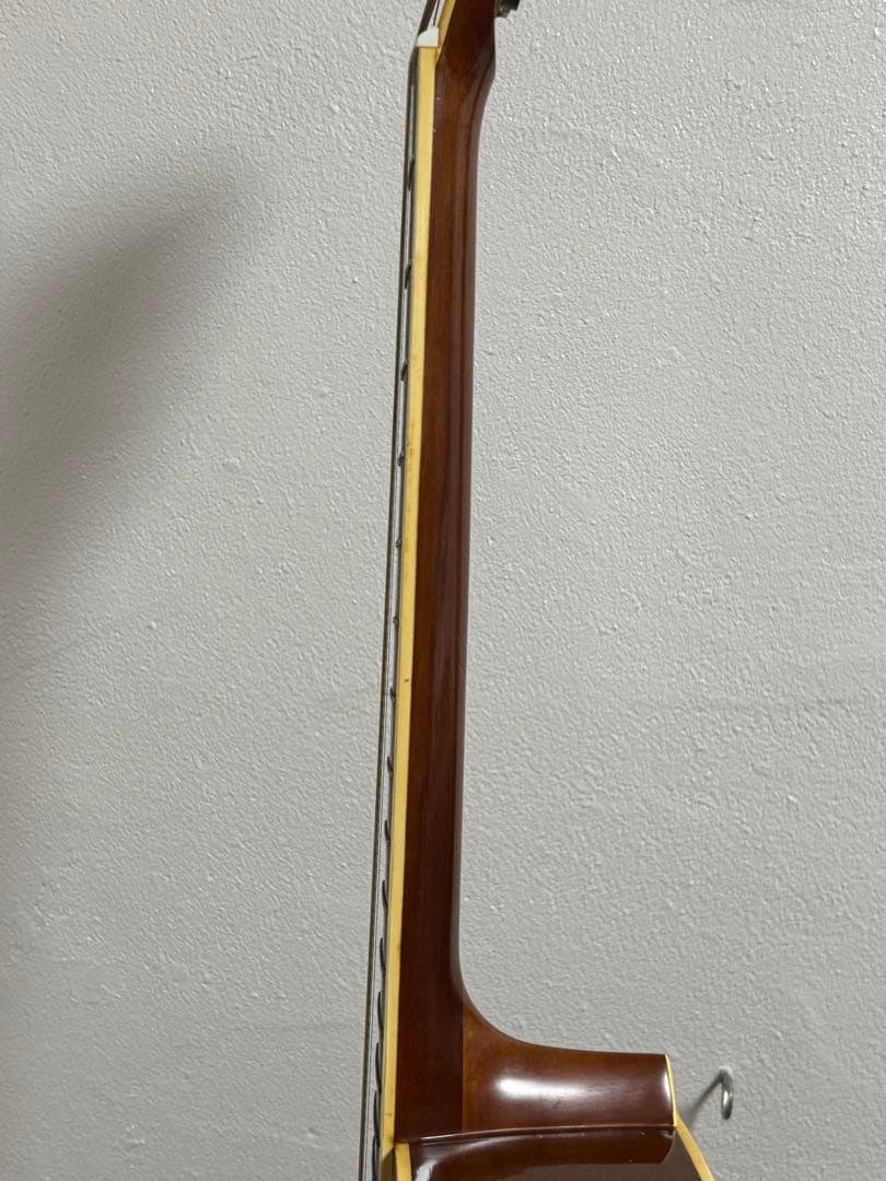 Pro MARTIN アコースティックギター