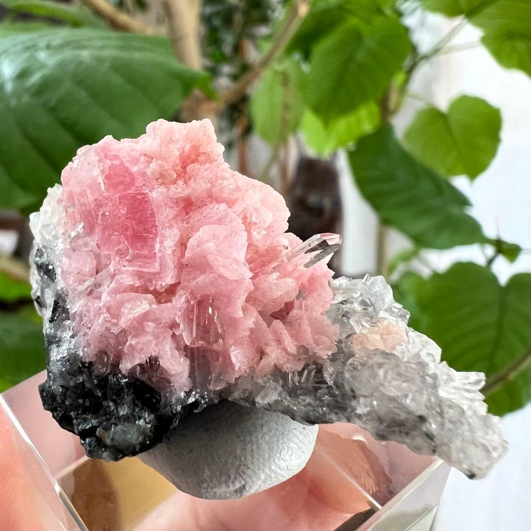 中国　広西チワン族自治区産　クォーツクラスター共生ロードクロサイト