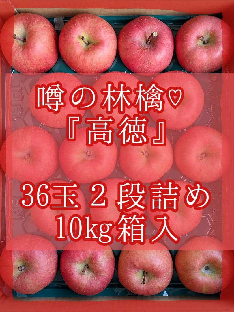 噂の林檎♡高徳♡36玉♡２段詰め♡10kg箱入♡