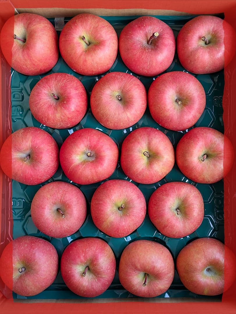 噂の林檎♡高徳♡36玉♡２段詰め♡10kg箱入♡