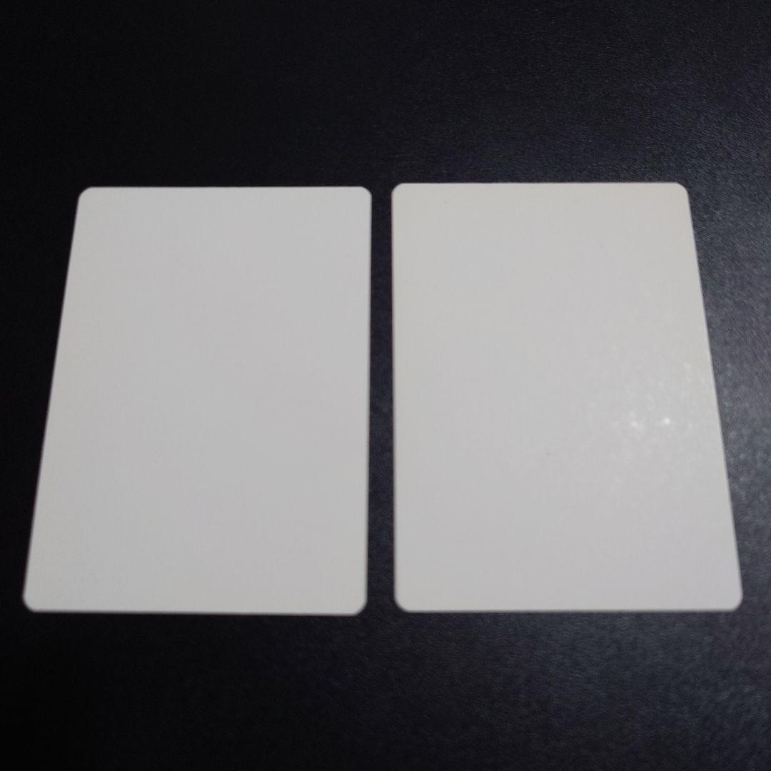 紅蓮破 水流破 アーティストプルーフ サインド イタリア語 2枚 MTG