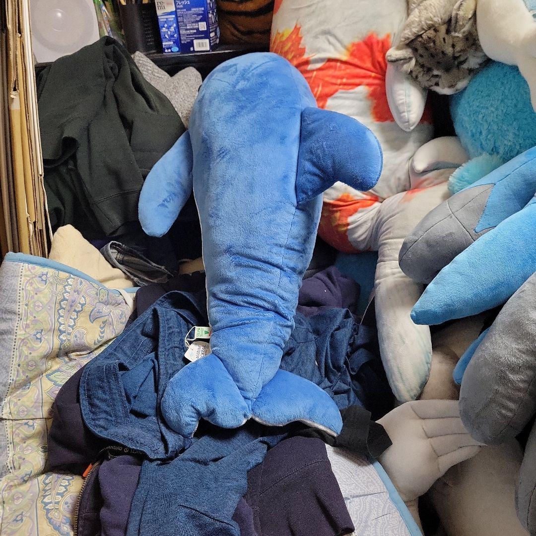 イルカぬいぐるみ