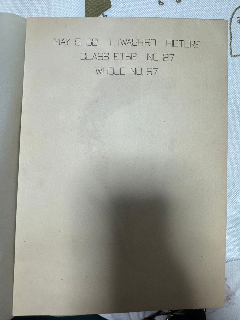 ELIZABETH TAYLOR    絵