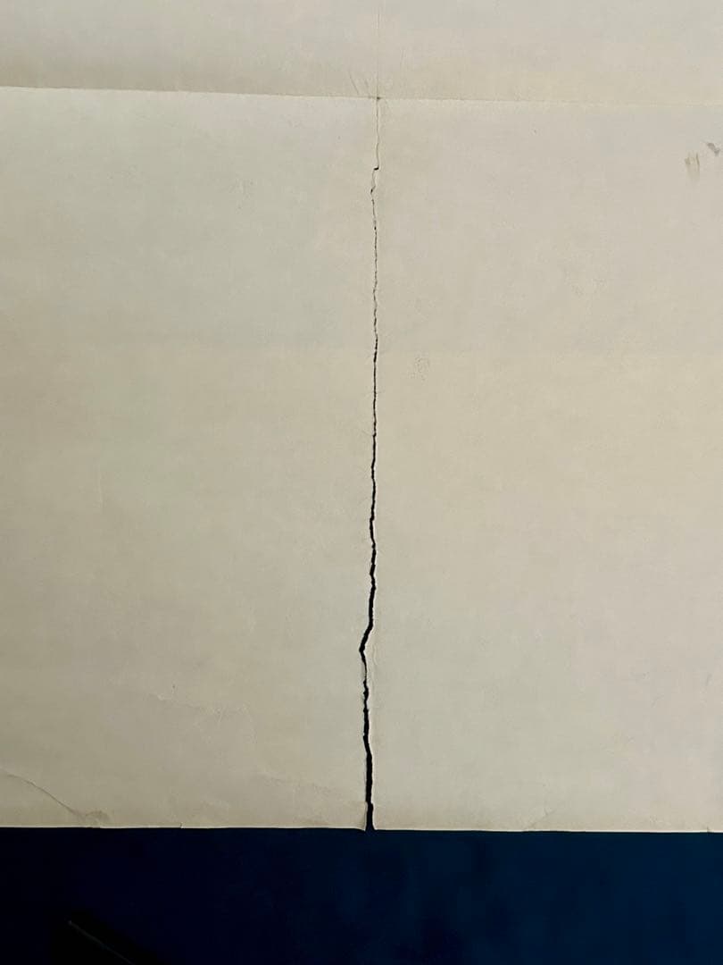 ローズ　USオリジナル映画ポスター