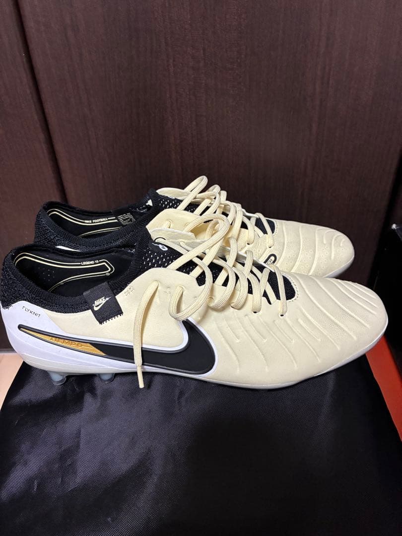 ナイキ ティエンポ レジェンド 10 エリート AG-PRO