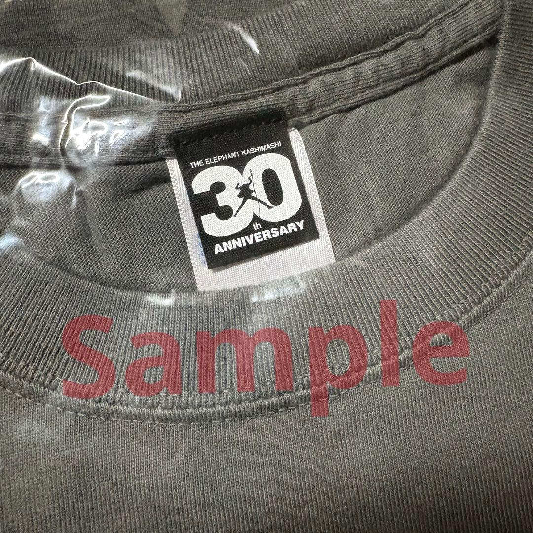 ★★新品未開封★限定★エレファントカシマシ★野音★エレカシTシャツ★Mサイズ★★