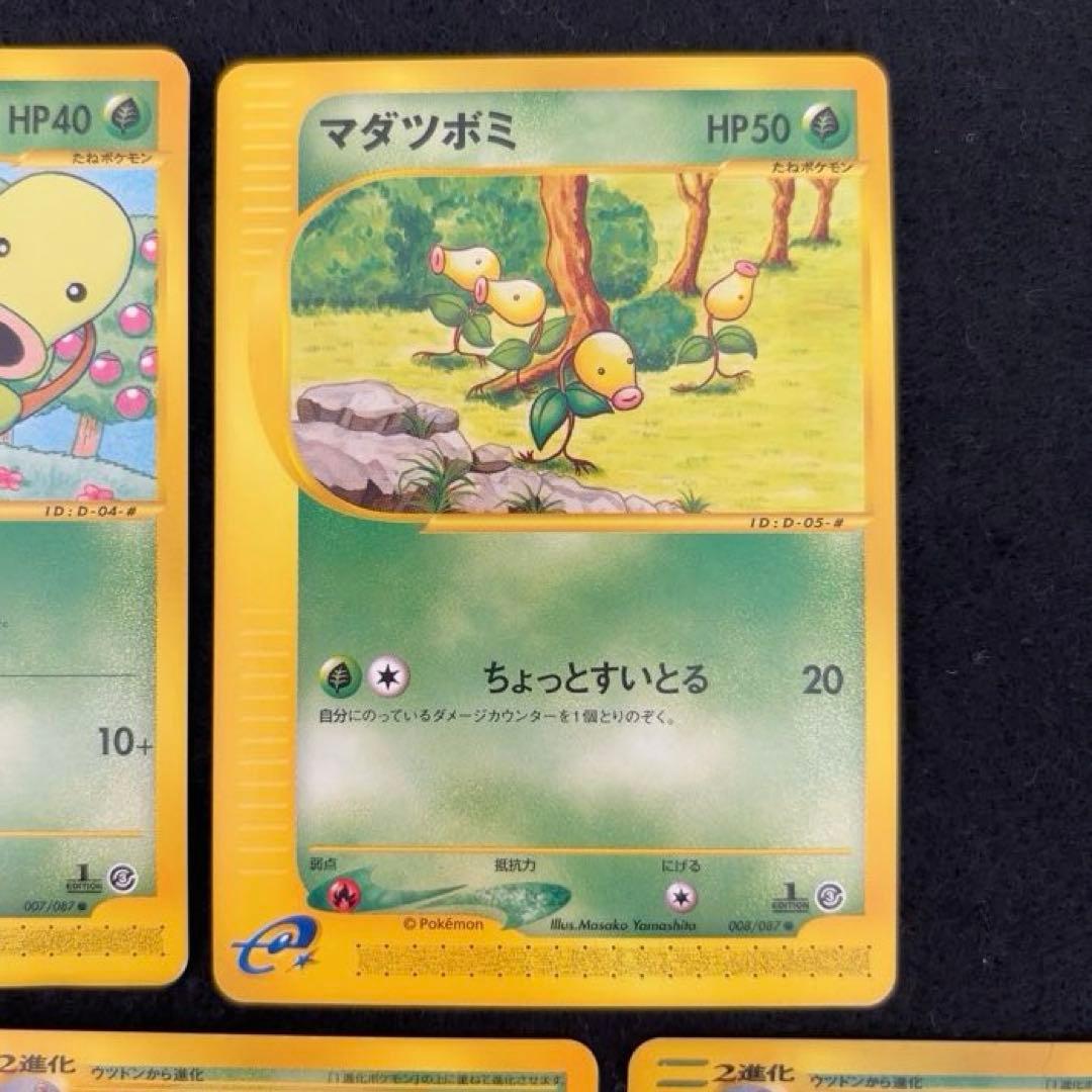 R*様 #ゆんの気まぐれオークション　（竹）　5枚　　マダツボミ　ウツドン　ウツ