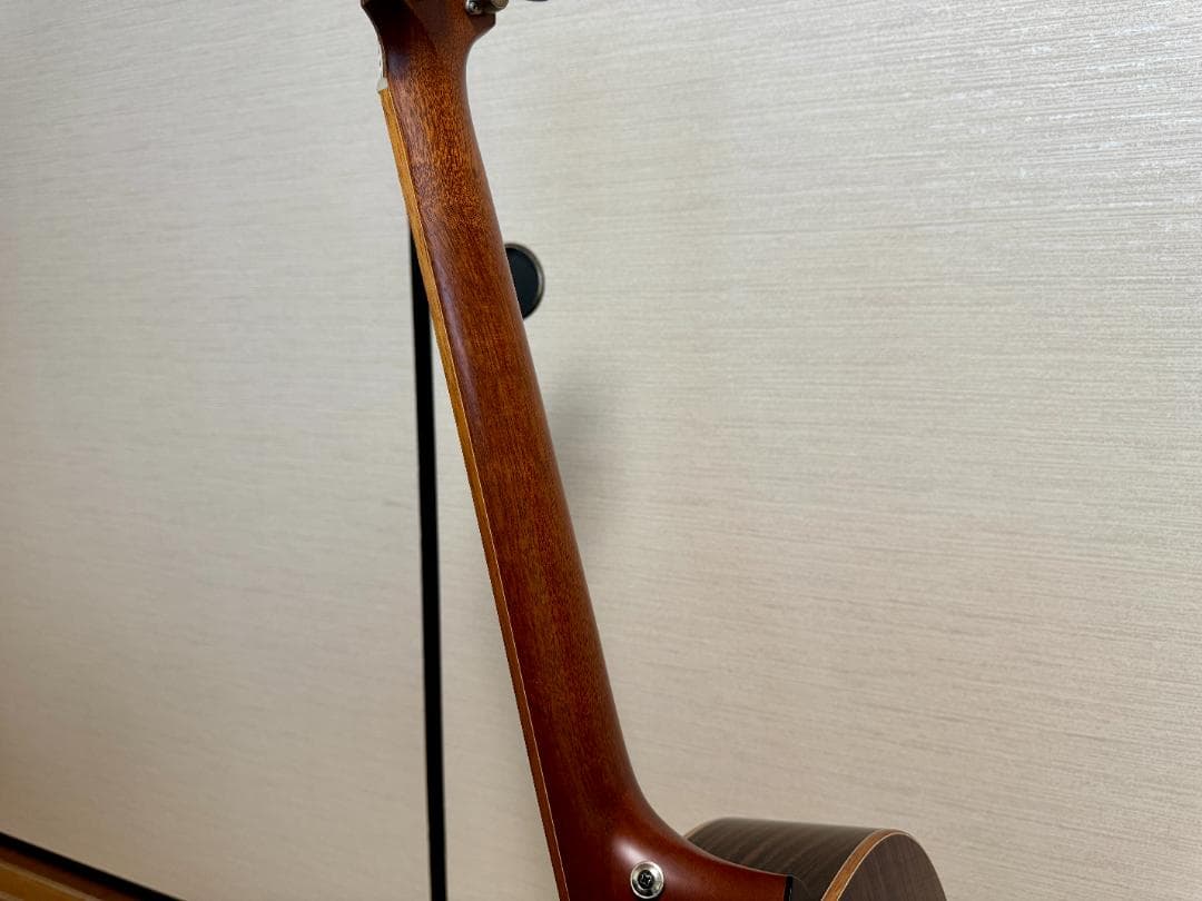 Furch Red Deluxe G-SR フォルヒギター レッドデラックス