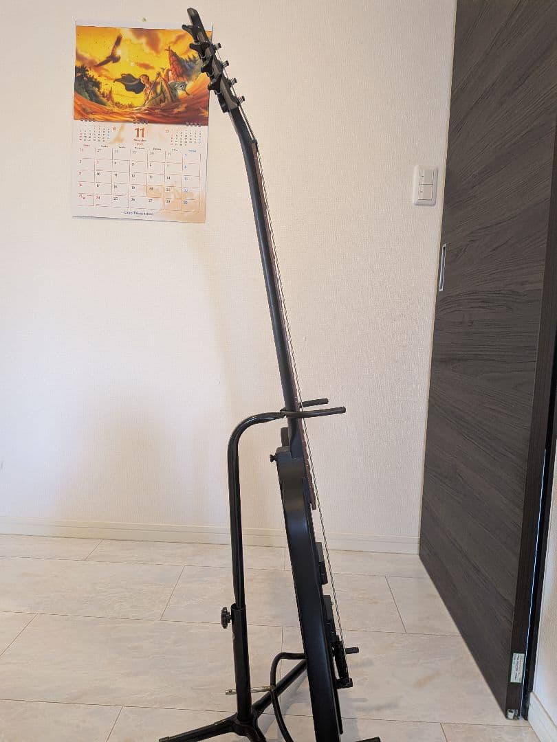 Epiphone ブラックバード　ニッキーシックス　サンダーバード