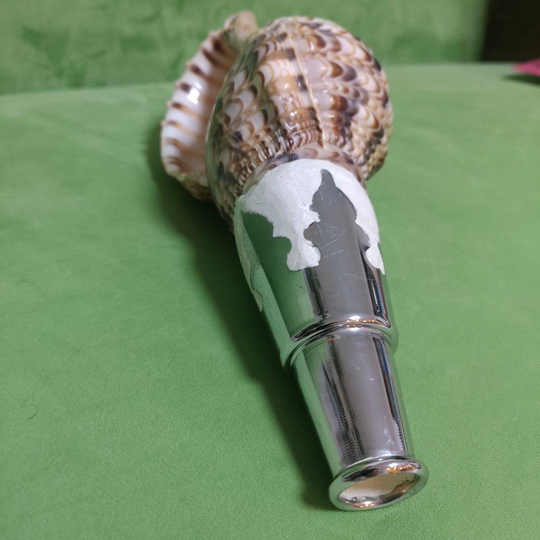 法螺貝　ホラ貝　クリスマス　プレゼント