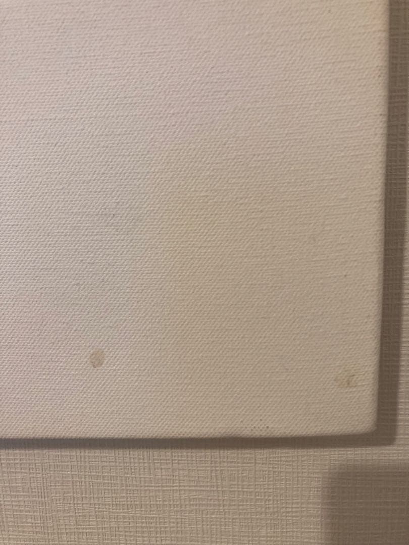 【貴重・特大キャンバス】テスコ　グラフィティスープ　ステンシル