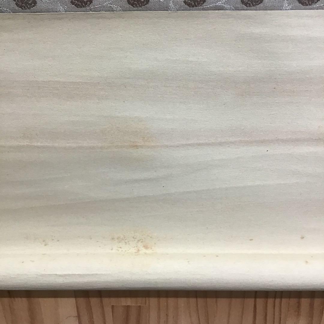 K茶道具　掛軸　「洋蘭の図」　古楊作　共箱　S1007KJ