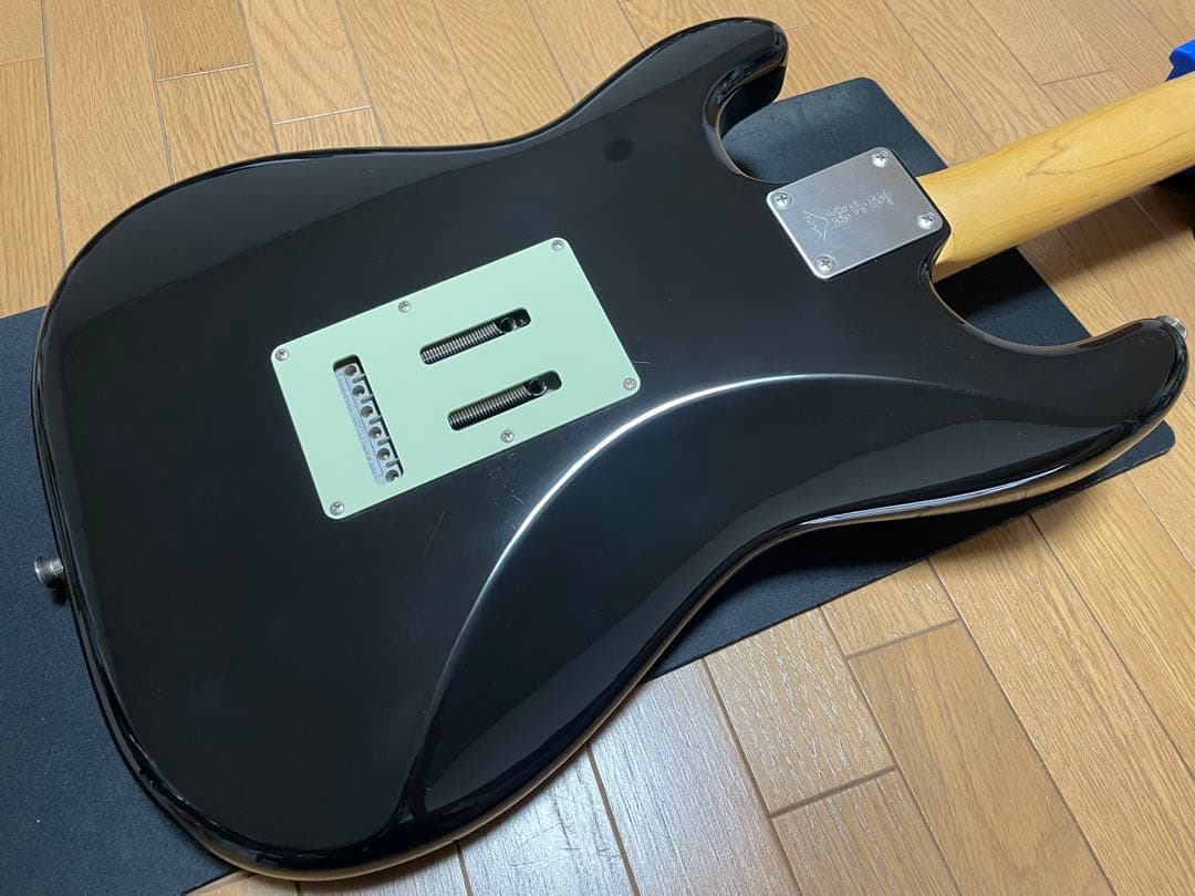 fujigen（FGN） SNST101-BK 【限定生産品】