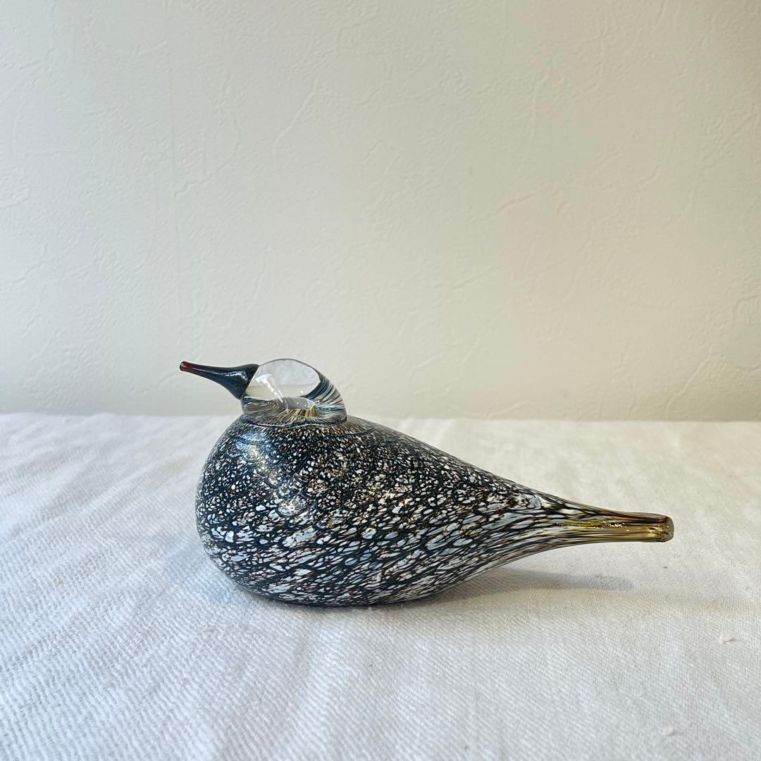 希少入手困難品　 オイバトイッカ イッタラバード コモンクイナ