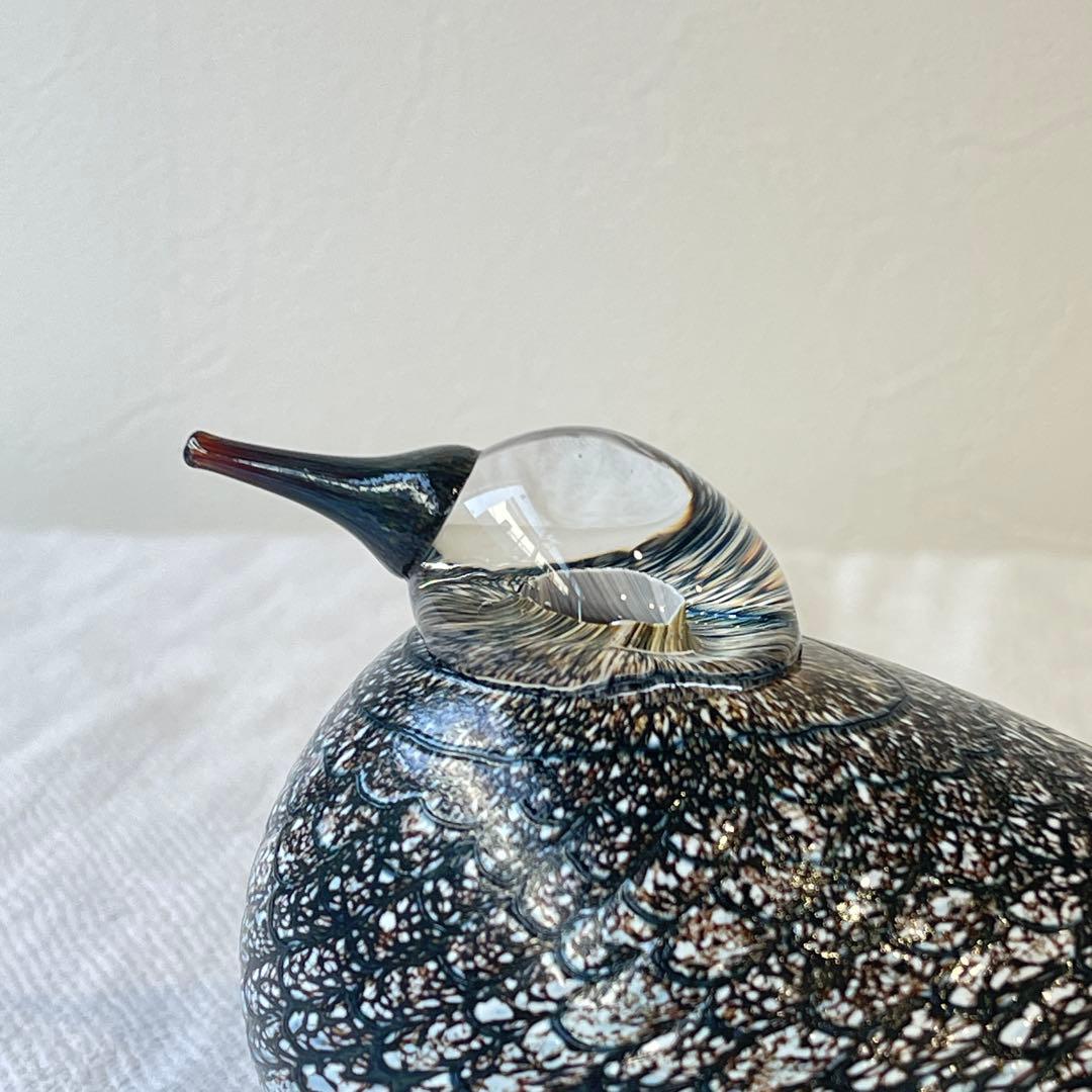 希少入手困難品　 オイバトイッカ イッタラバード コモンクイナ